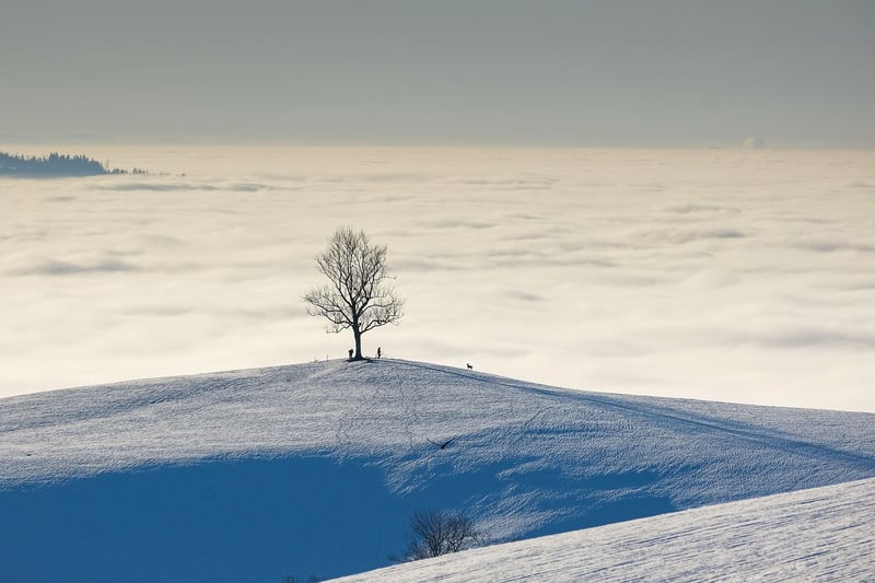 Outdoor Landscape