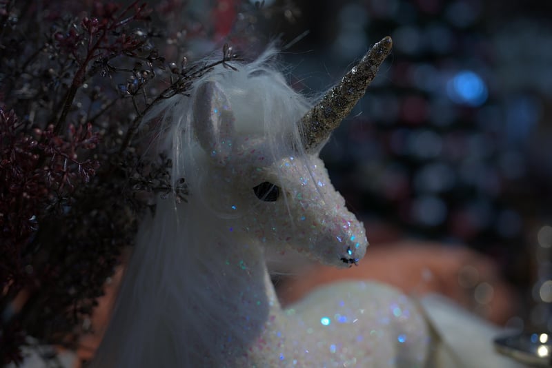 Unicorn Haven